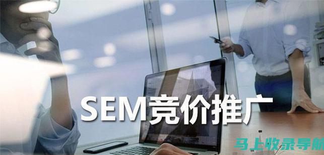 全方位SEO综合查询：从入门到精通的指南